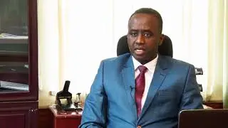 Transparency in Digital Financial Services