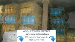 Raw Wool Export Companies Rajasthan
