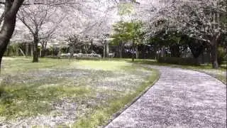 20130330