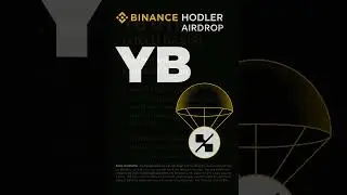 What Is YB (Yield Basis)? | Binance Hodler Airdrop