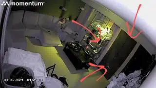 Orbs or dust ?