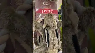 Squirrel Dog Toy On a Shelf in the Grocery Store.