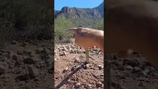 México y sus historias