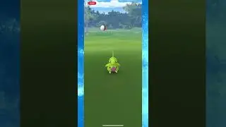 Larvitar! Community Day! @BermudezZero #pokemongo #pokemongocommunityday #larvitar #pokemongoshiny