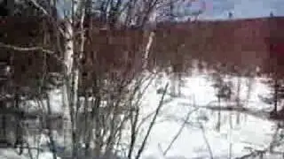 Dog sledding Canada Basfromamsterdam