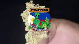 Monsterbud Philippines