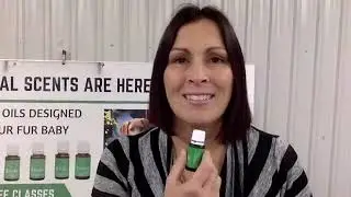 Safe Essential Oils for Pets