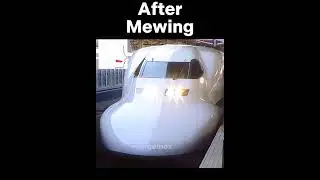 Mewing Transformation