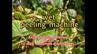 Wet  Peeling Machine , Almond  Peeling  Machine,Lablab Beans  Peeling ,Fava beans peeling ,soybeans