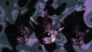 Chromarius - SCRAPWIRE (Visualizer)