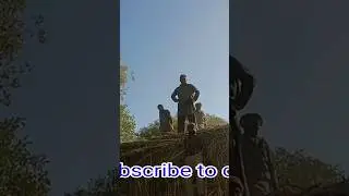 What is this!#shorts #youtubeshorts#ytshorts