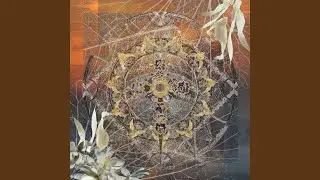 The Veil
