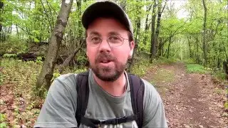 Поход по Аппалачской тропе: PA 645 до перевала Сватара