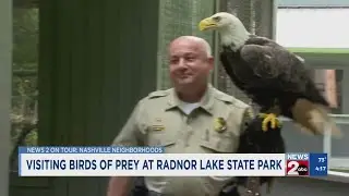 Radnor Lake celebrates 10 years of caring for injured birds of prey