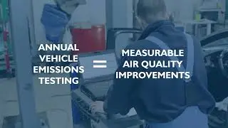 How does vehicle pollution impact human health?