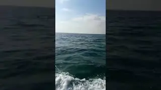 #Abu dhabi# sea#water riding