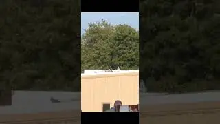 Trump Shooter Thomas Crooks #dead