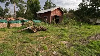 Project update and pig feeding.