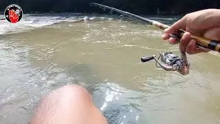 MENCOBA MANCING IKAN GENGGEHEK/WADER KEPEK DENGAN UMPAN PUTASO‼️