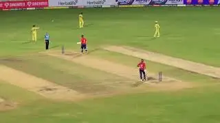 CSK live match from Chepuk stadium // MS Dhoni  fielding practice #csk #yellove #yellowarmy #like