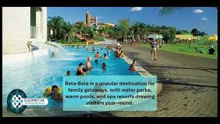Explore Bela Bela South Africa | Hot Springs & Wildlife Adventures | Clicknetsa Travel