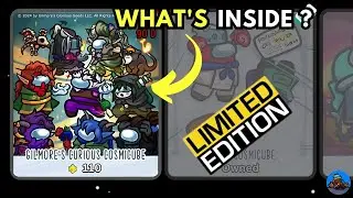 Whats inside GILMORE'S CURIOUS COSMICUBE?