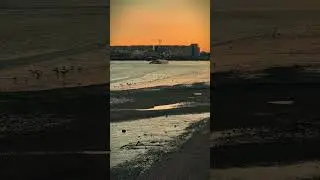 Sunset & Uber Boat