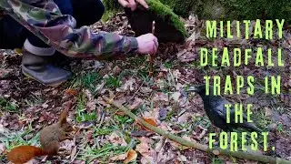 Easy Deadfall Trap. #bushcraft #wildlife #animals #outdoorskills #fyp #survivalskills #primitive
