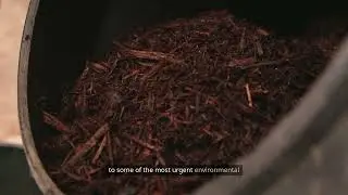Microbial Earth Renewal