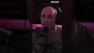 Joe Rogan on Chimp Attack