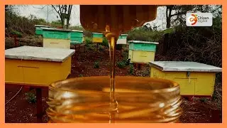 Kenya's Gold | Creamed honey