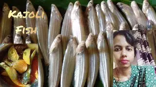  Fish cooking vlog❤