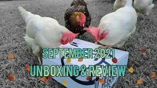 Henny & Roo | September 2021 Box Subscription Unboxing & Review | Autumn Flock Chicken Edition