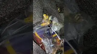 MLBB M3 Roger Model Figure Unboxing