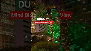 Mind Blowing Night View of Dubai🇦🇪| #shorts #shortsfeed #mindblowing #night #view #dubai #viralsong