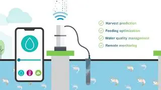 AquaEasy | The IoT solution for aqua farmers | BOSCH