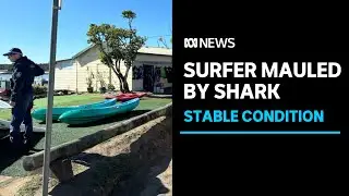 Man suffers serious leg injury in a shark attack at Port Macquarie in northern NSW | ABC News
