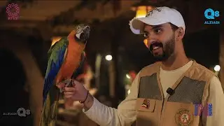 IN KUWAIT: featuring an episode about little jungle museum & zoo park aired on KTV 2