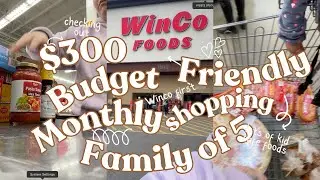 Budget Friendly Monthly Grocery Shopping for Family of 5 | Costco + WinCo Haul Under $300 | November