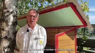 Effective Heat Treatments for Varroa Control | Kit for Beekeepers