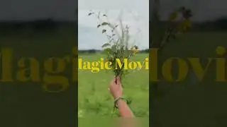 siddipet vlog