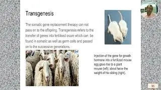 CLASS 51 APPLICATION OF RECOMBINENT DNA TECHNOLOGY IN  ANIMAL GENETICS