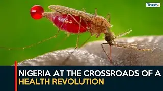 World Malaria Day: Nigeria At The Crossroads Of A Health Revolution