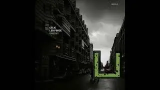 Celic, Leo Force - Groovy (Original Mix) [UNITY RECORDS]