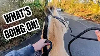 THIS WAS NOT THE RIDE I HAD PLANNED!!