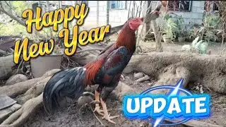 2026 New Year's Update
