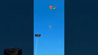 #pigeonsvideo #pigeon #pigeonhouse #pigeonhouse #fancyanimal #pigeonvideos #kabutar