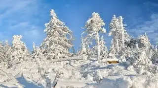 Ой, Сибирь, земля льдом околдованная, Ai Russian historical ballad