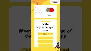 Encapsulation Visual Question!