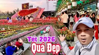 Làng Hoa Tính Đất Tình Hoa Sa Đéc Khám Phá Hoa Tết Năm Đinh Ngọ 2026  Giá Hoa Tết  